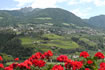 Aussicht vom Balkon