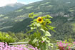 Wunderbarer Ausblick vom Innermelaunhof