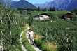 Innermelaunhof, Start für wunderschöne Wanderungen